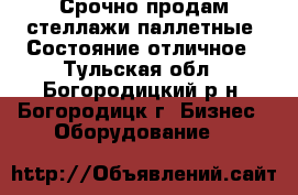 Срочно продам стеллажи паллетные. Состояние отличное - Тульская обл., Богородицкий р-н, Богородицк г. Бизнес » Оборудование   